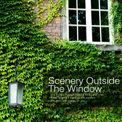 Scenery Outside The Window