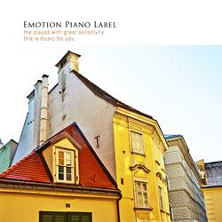 Sunlight penetrating the window