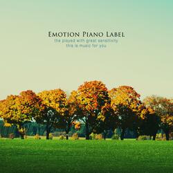 Looking Out The Window