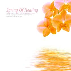 The sunshine surrounds the body.