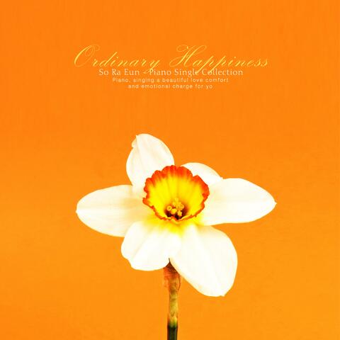 Ordinary happiness