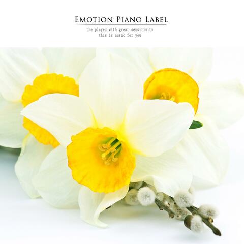 Love That Blooms In White