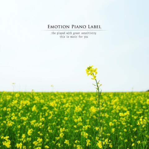 Invitation to Happiness