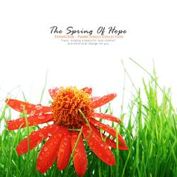 The Power Of The Lord