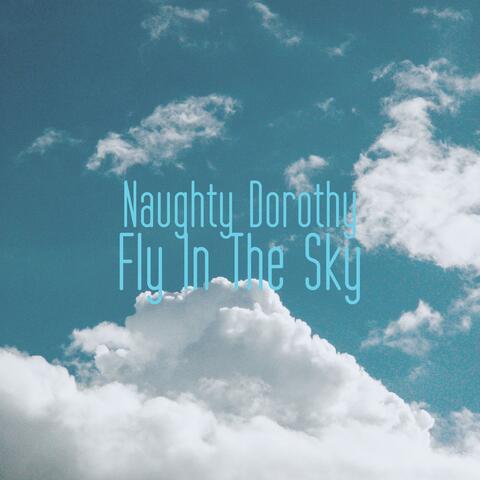 Fly In The Sky