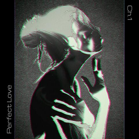 Perfect Love 1