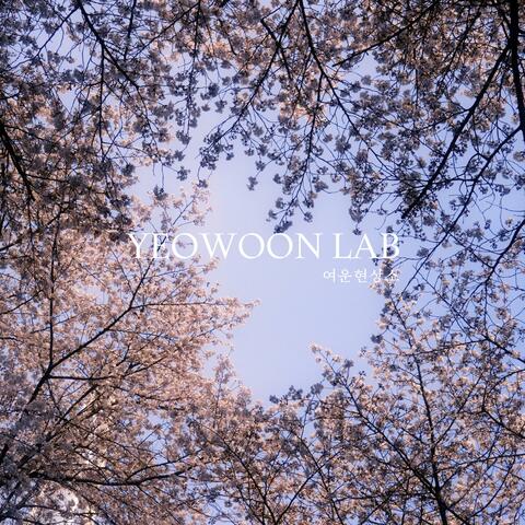 Spring in Seoul