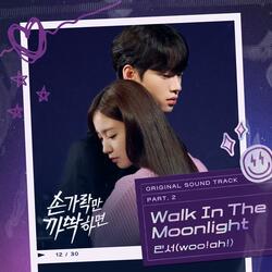 Walk In The Moonlight