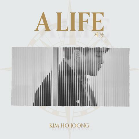 A LIFE