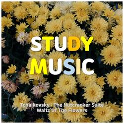 Studying music for concentration and memory