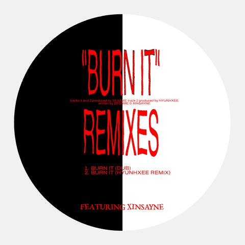 BURN IT - Remixes (Feat. XINSAYNE)