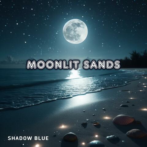 Moonlit sands
