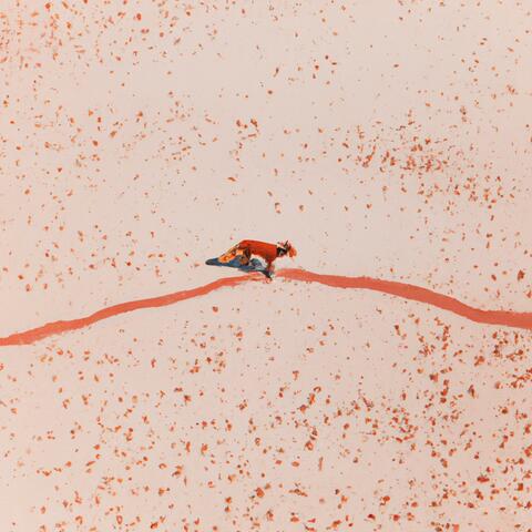 an invitation from a foxhole