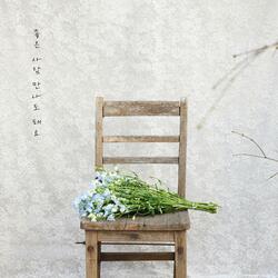 Heartfelt love(Inst.)