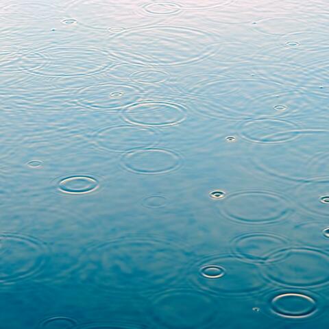 In the rain