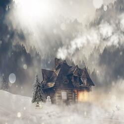 Dream for Winter