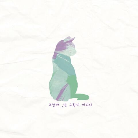 hey kitty, where are you from