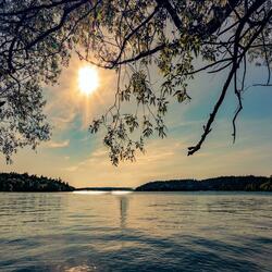 Rest (Meditation Break Meditation)