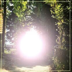 Lullaby Melody for Tranquility