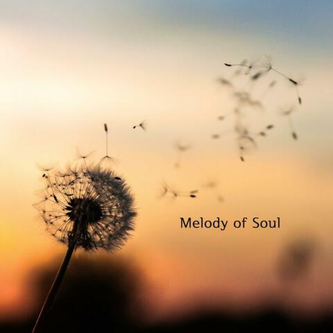 A collection of psychological stable meditation that comforts the weary soul
