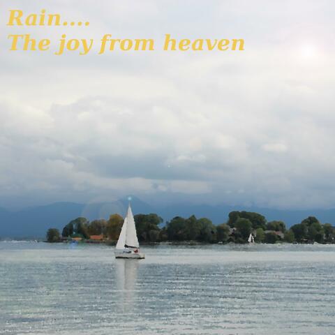 Rain Sound Falling On the Front Yard of the Island House