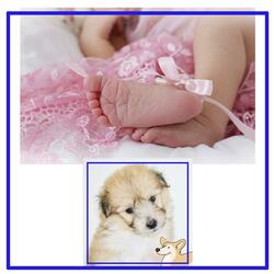 DIY Working Sound Good for Lullaby