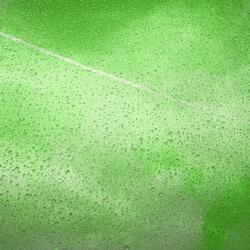 Sound of Raindrops on the Lawn