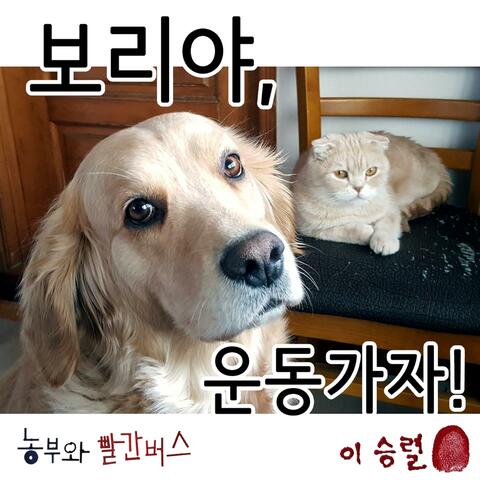 Hey Bori, Let's go exercise!