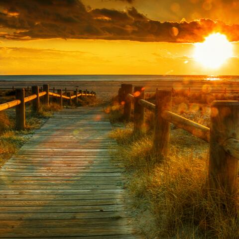 Sunset light