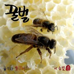 honeybee