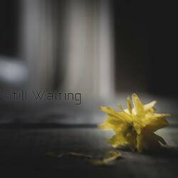 Still Waiting