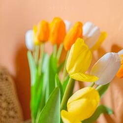 From Winter To Spring