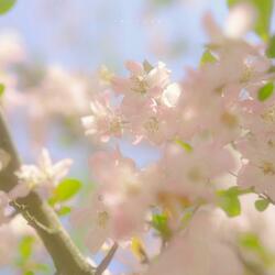 On A Spring Day In April