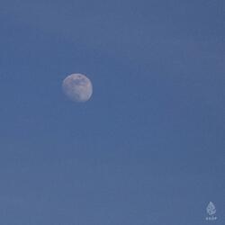 The Night I Think of You (Vocal Oh Si Young)