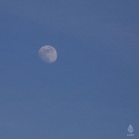 The Night I Think of You