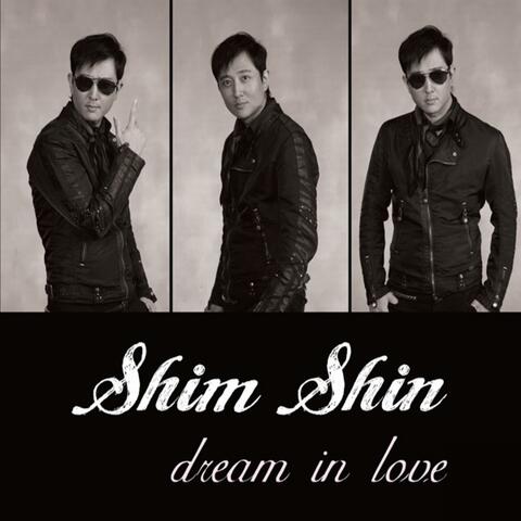 Dream In Love