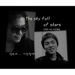 The Sky Full of Star
