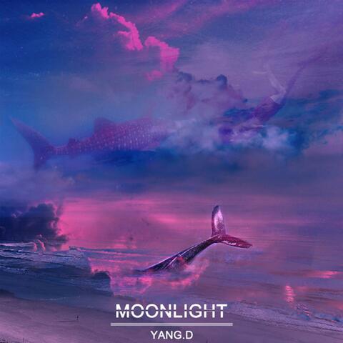 Moonlight