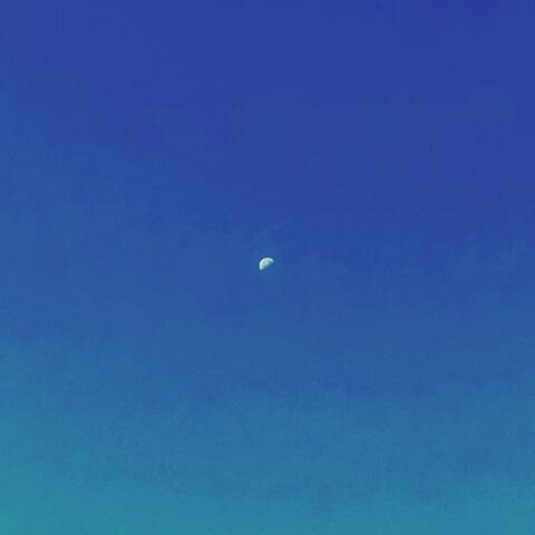 Morning Moon
