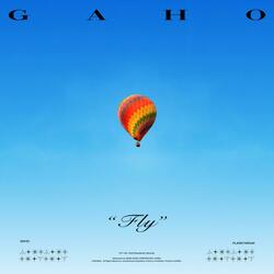 Fly