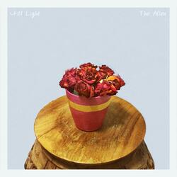 My Light (feat. IRI & SunA)