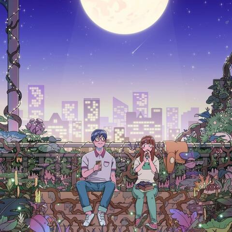 A Summer Night Story