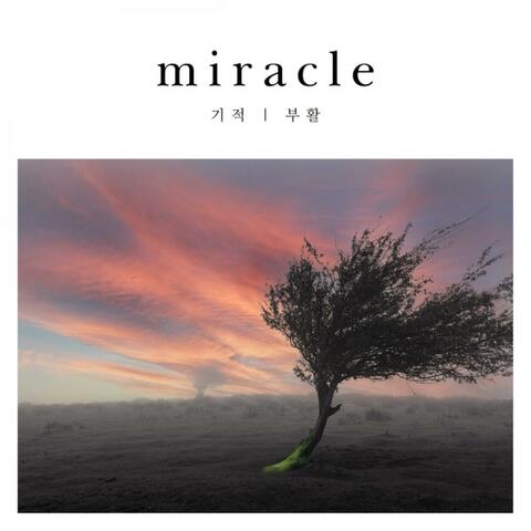 Miracle