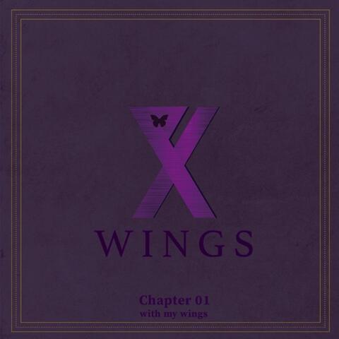 Wings