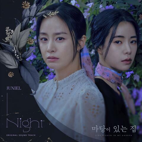 Night (From "Lies hidden in my garden Original Soundtrack, Pt. 1")