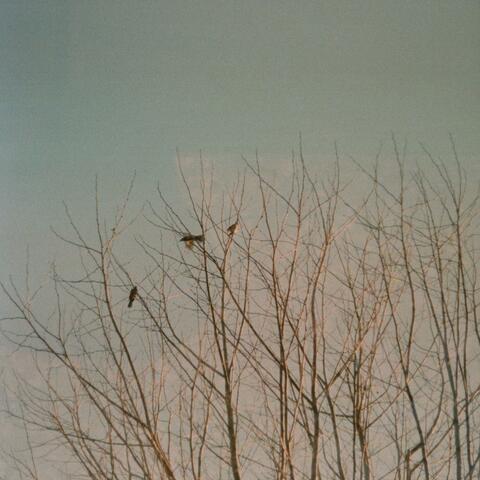 Tell Me the Breakup is Done