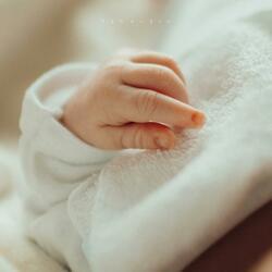 Like A Sweet Night's Dream