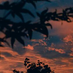 I want to give it to you