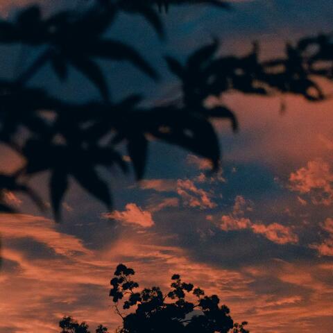 I want to give it to you