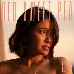 Red Sweet Pea (Japanese)